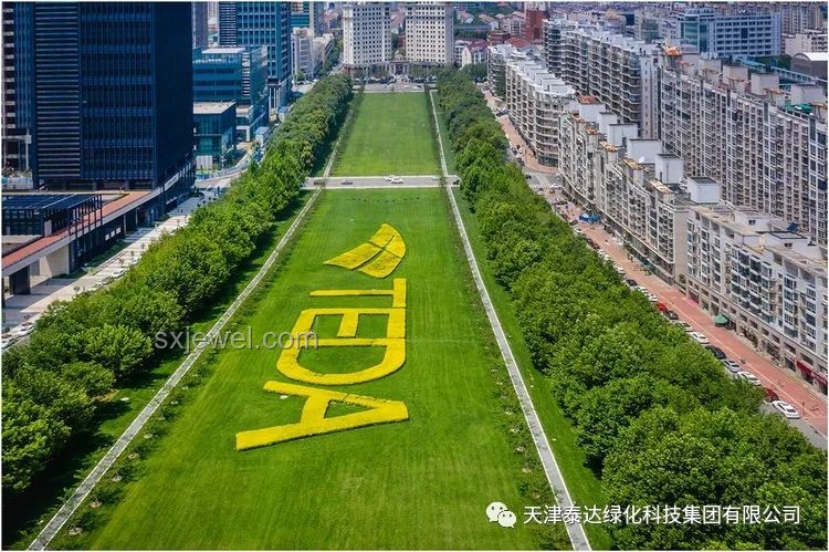 去了天津才发现，城市经济生态复杂性分析
